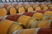Wine seminars <en>