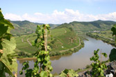 Länder Weinseminare