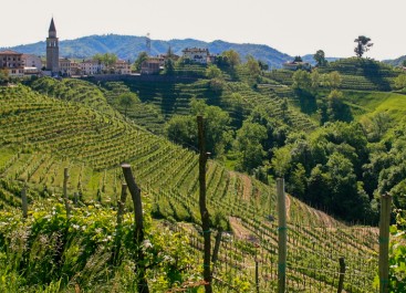 Italiens beste Spumante: Franciacorta, Trentodoc & Co.