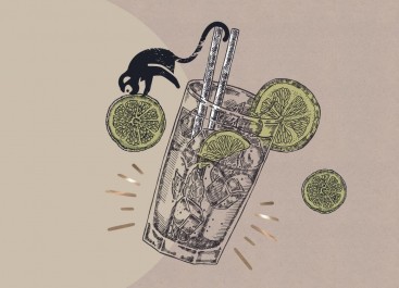 Online Gin Tasting - Eintauchen und Genießen!