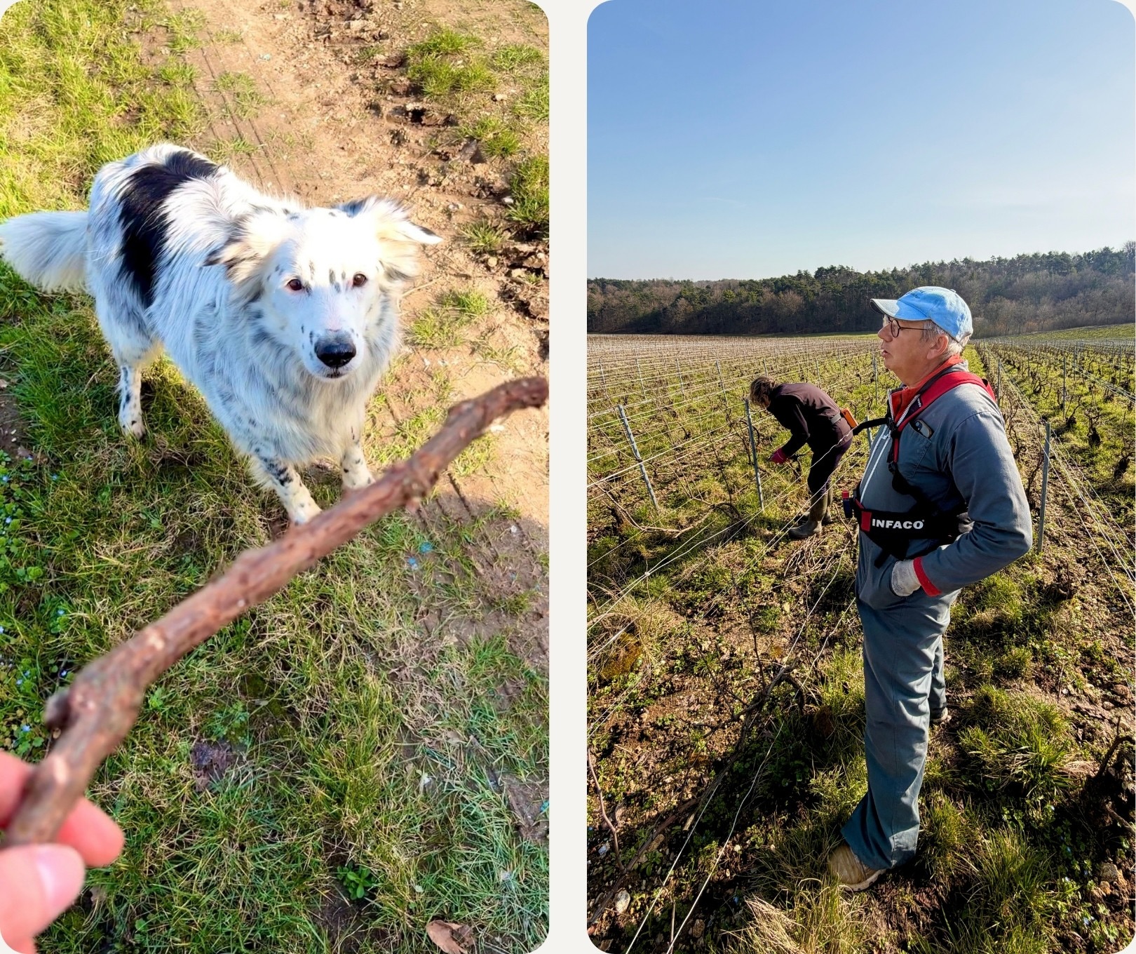 Champagne Frühjahr 2026