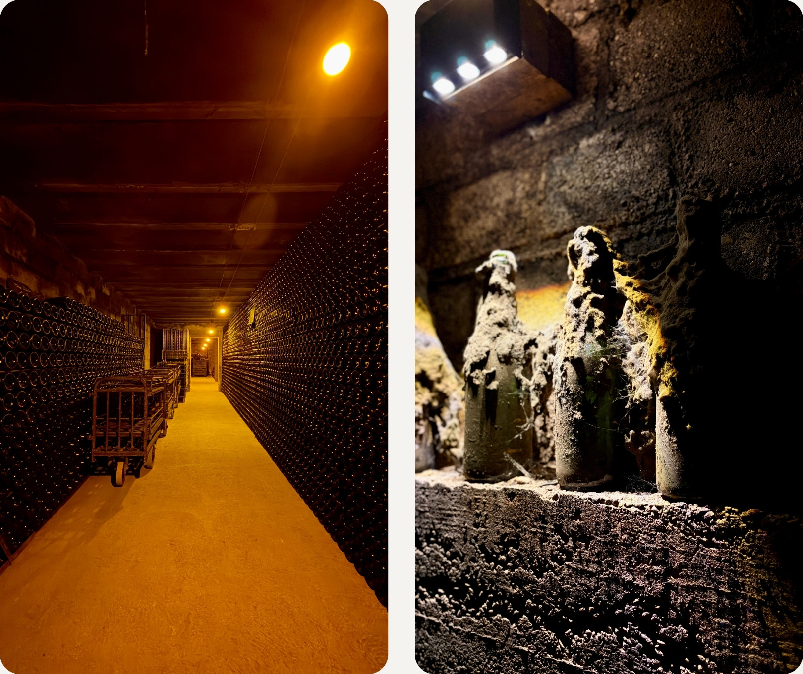 Champagne Frühjahr 2026