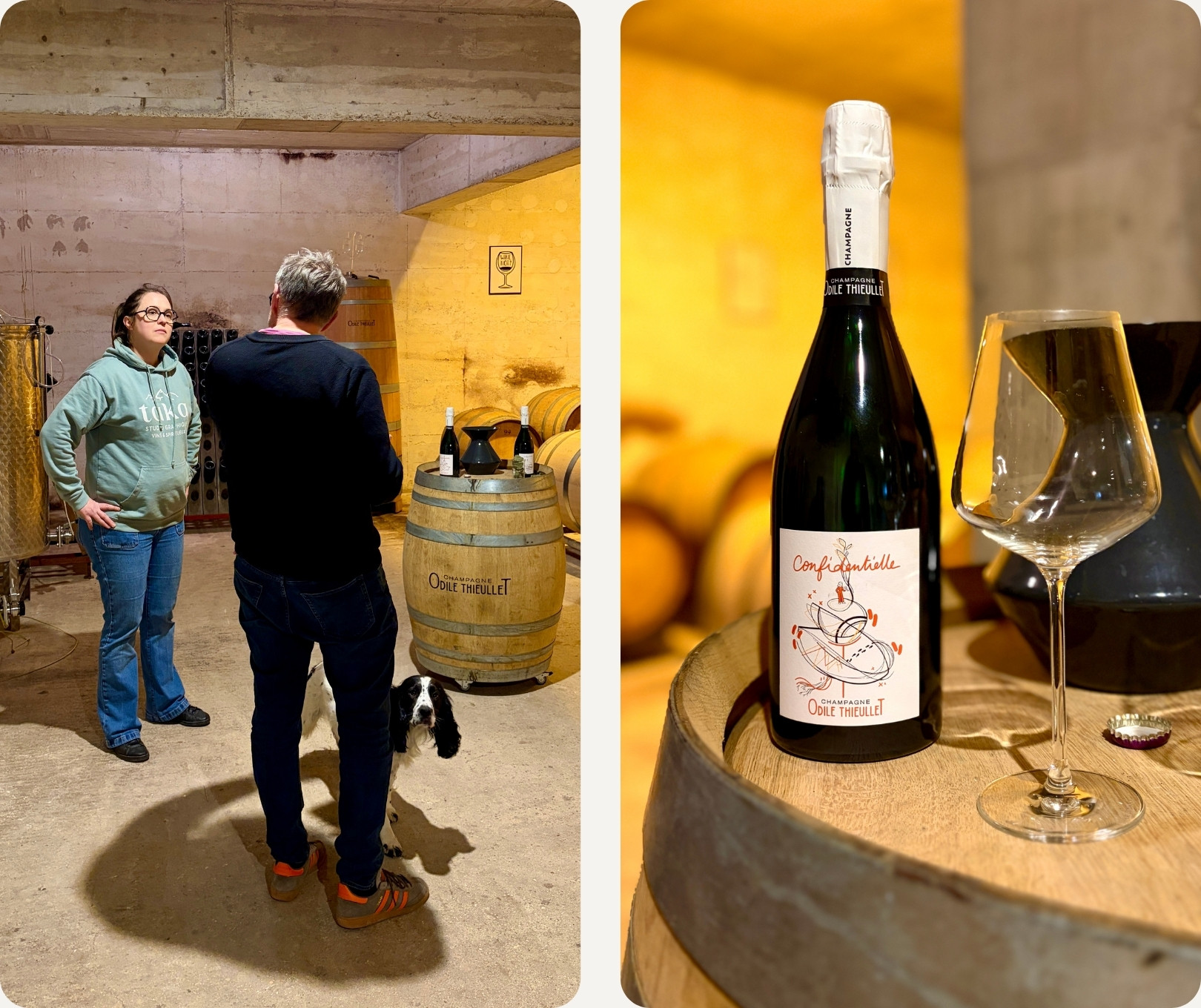 Champagne Frühjahr 2026