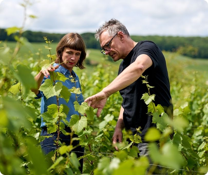 Weinhändler des Jahres 2025