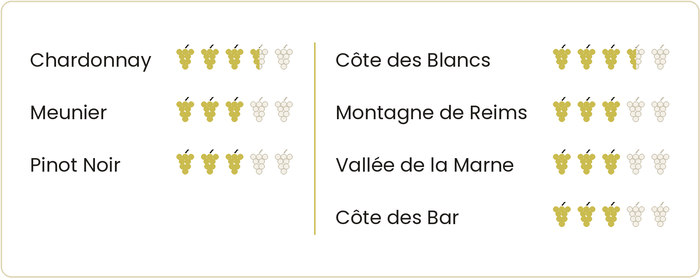Die Jahrgänge in der Champagne