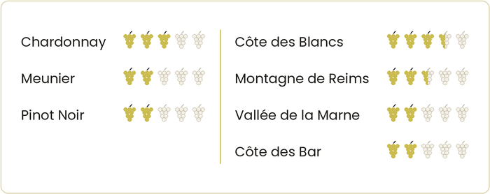 Die Jahrgänge in der Champagne