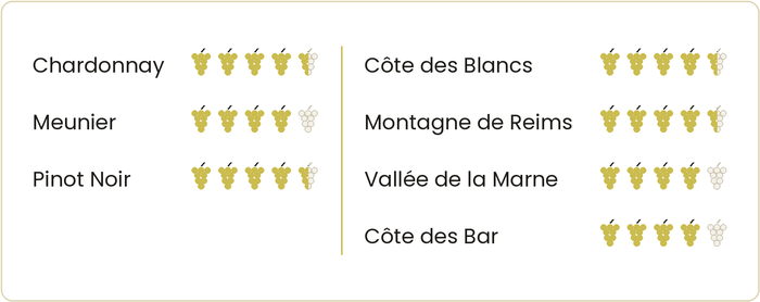 Die Jahrgänge in der Champagne