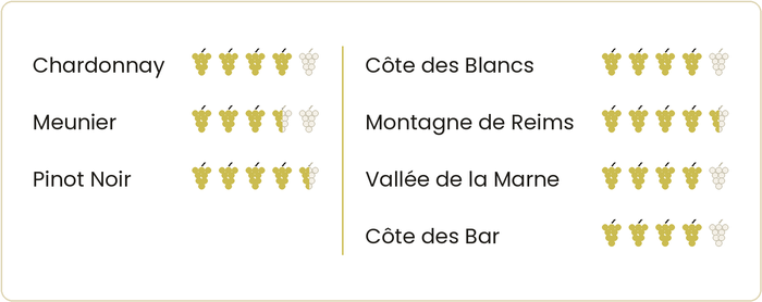 Die Jahrgänge in der Champagne