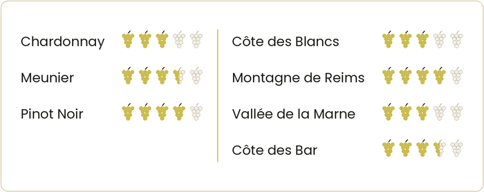 Die Jahrgänge in der Champagne