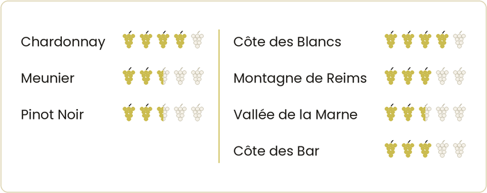 Die Jahrgänge in der Champagne