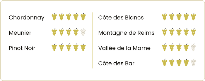 Die Jahrgänge in der Champagne