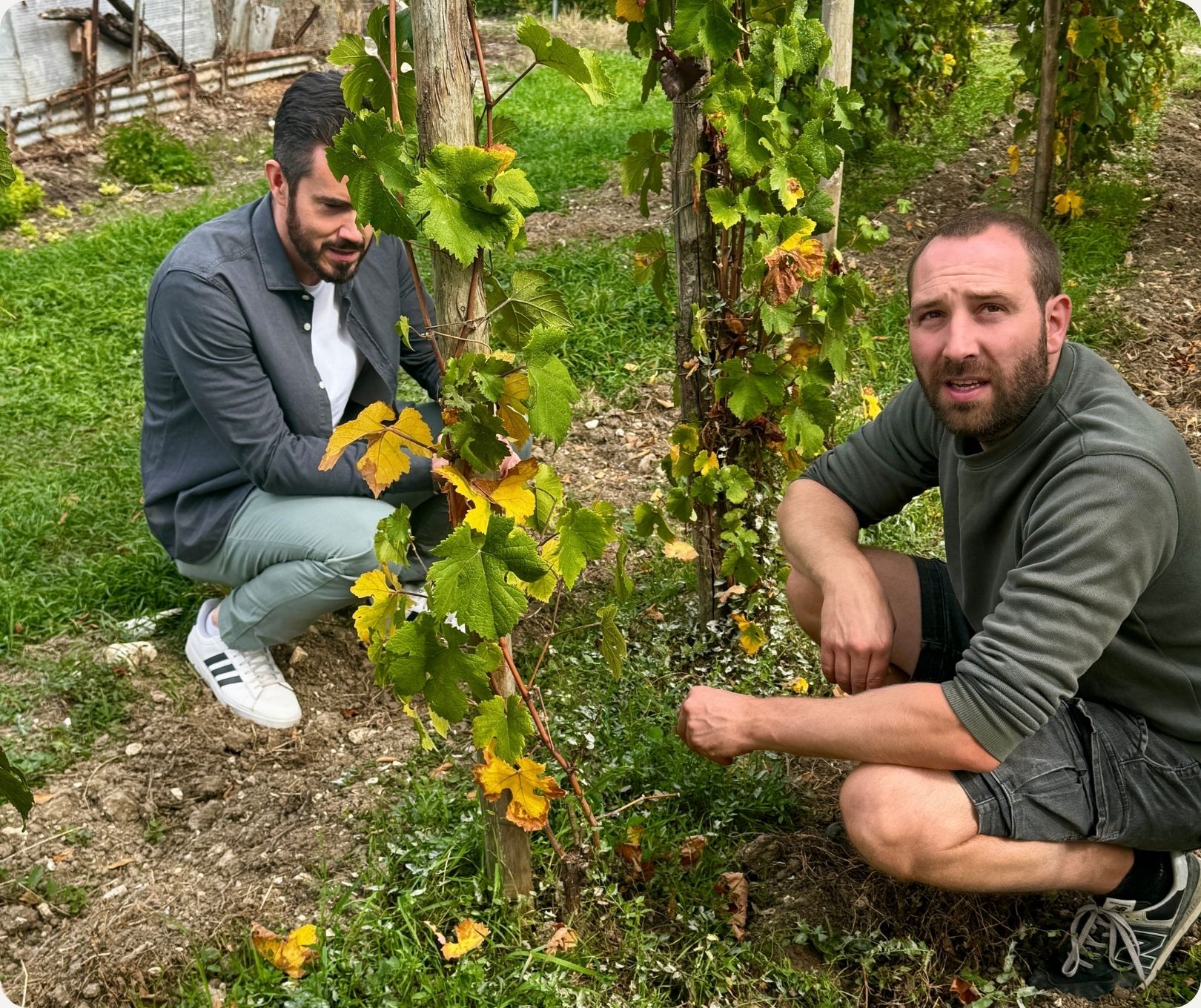 Bild: Johannes mit Flavien Nowack in dessen Versuchsweinberg
